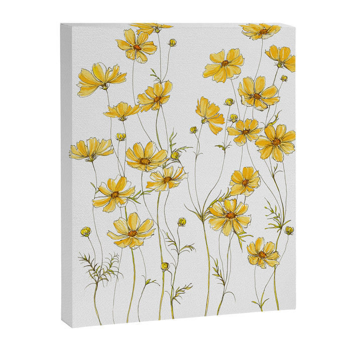 Yellow Cosmos Flowers Canvas Print Gallery Image 1