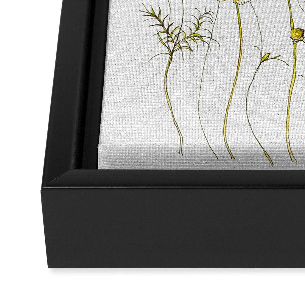Yellow Cosmos Flowers Framed Canvas Print Gallery Image 3