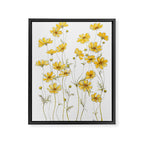 Yellow Cosmos Flowers Framed Canvas Print Gallery Image 6