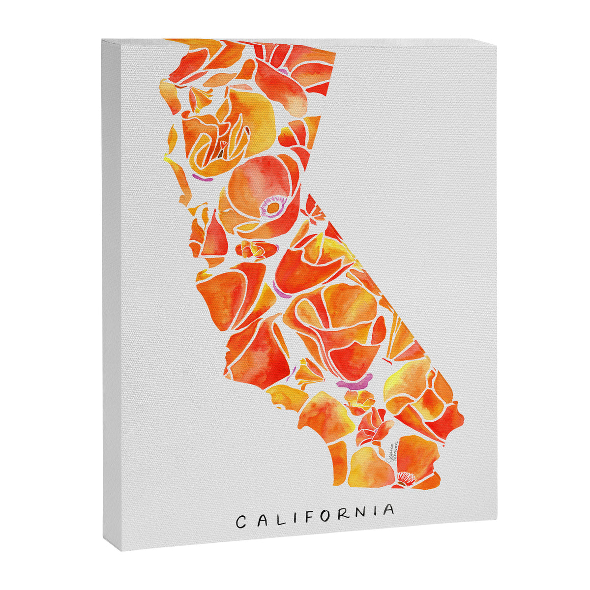 California Poppies Canvas Print Gallery Image 8