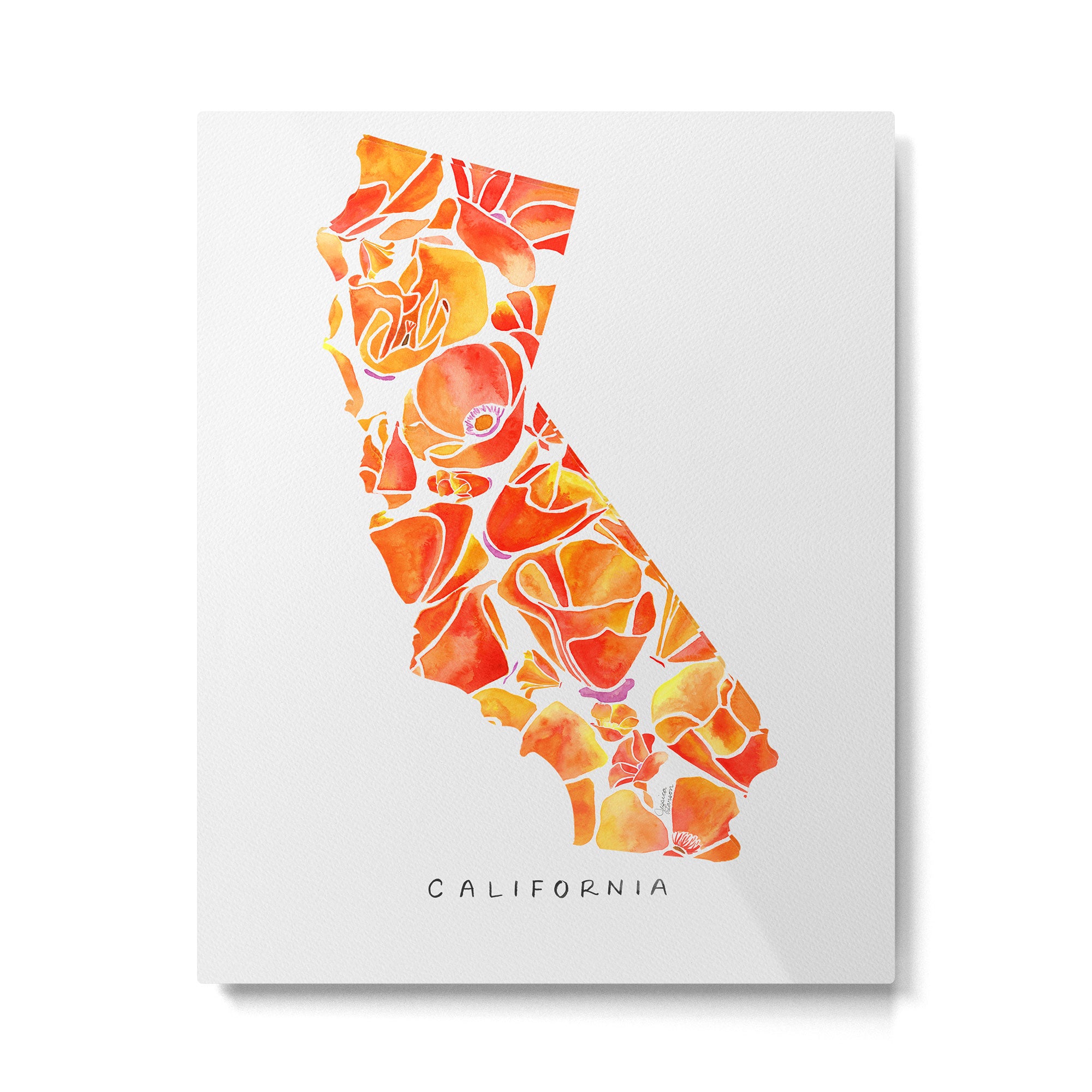California Poppies Metal Print Gallery Image 6