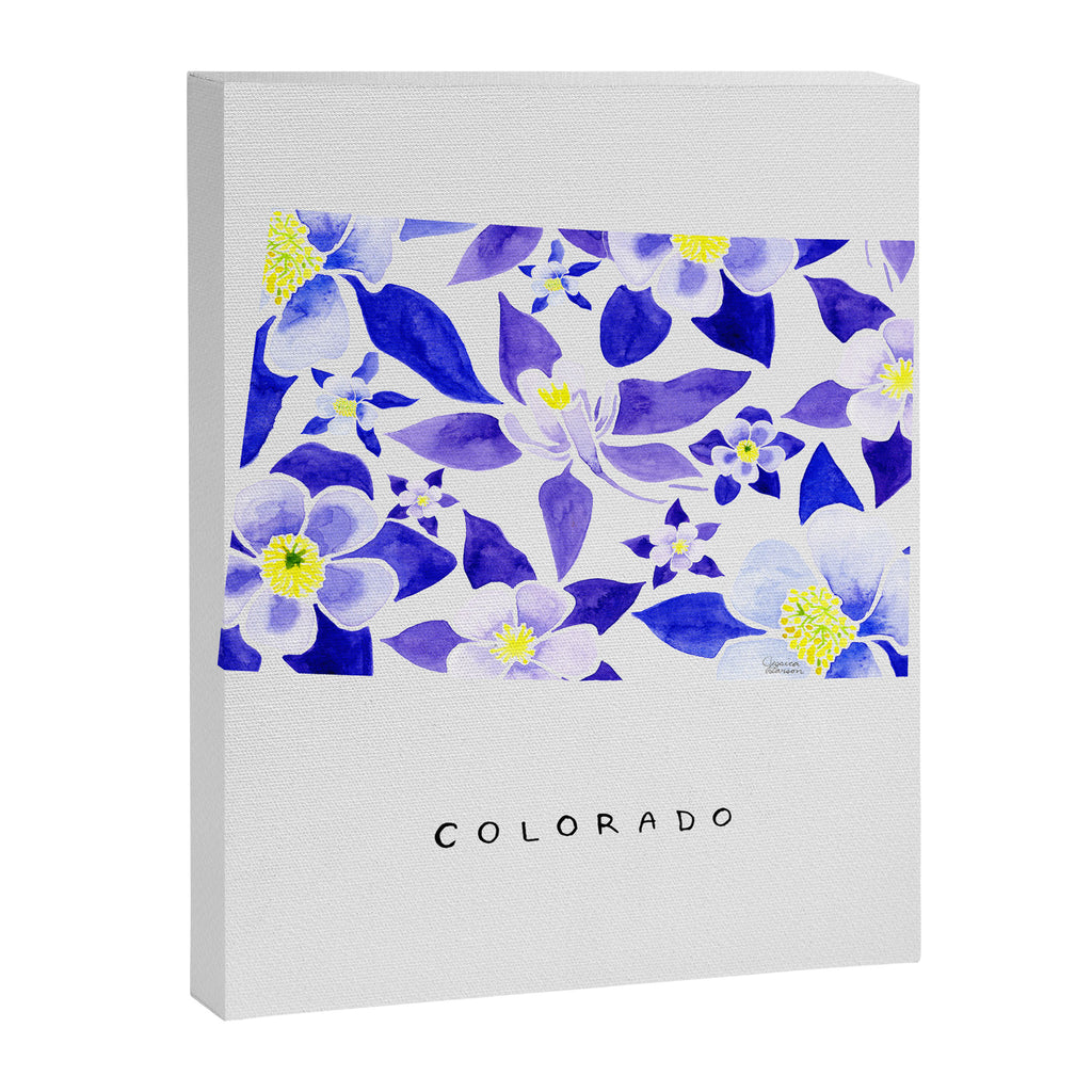 Colorado State Flower - Blue Columbine Canvas Print Gallery Image 8