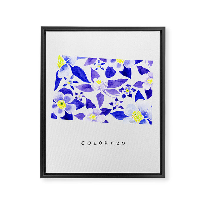Colorado State Flower - Blue Columbine Framed Canvas Print Gallery Image 1
