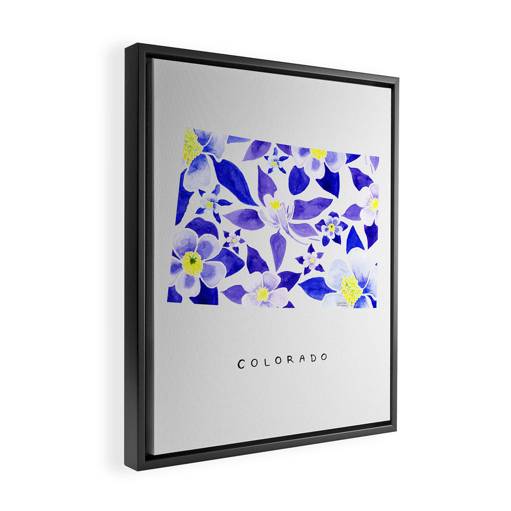 Colorado State Flower - Blue Columbine Framed Canvas Print Gallery Image 2