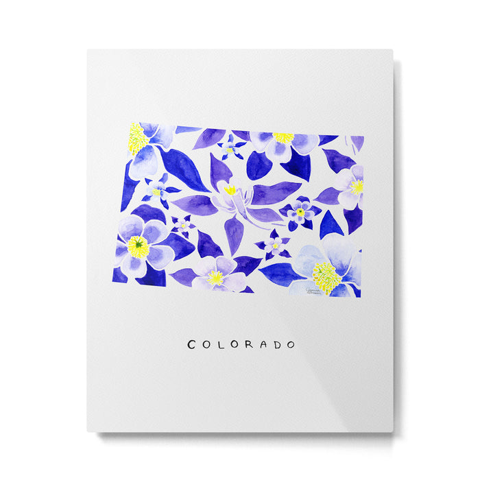 Colorado State Flower - Blue Columbine Metal Print Gallery Image 1