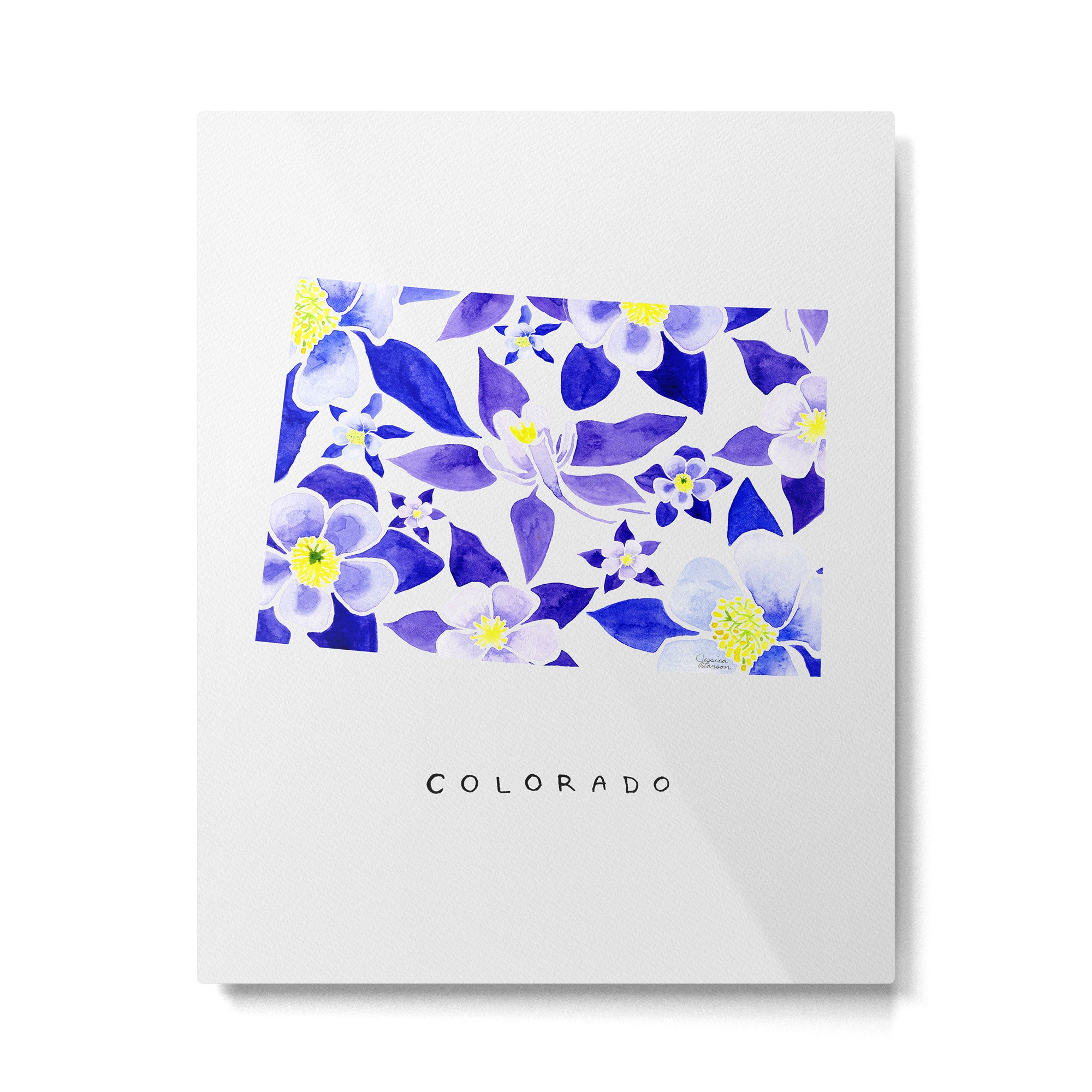 Colorado State Flower - Blue Columbine Metal Print Gallery Image 6