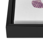 Watercolor Seashells Framed Canvas Print Gallery Image 3