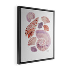 Watercolor Seashells Framed Canvas Print Gallery Image 2