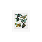 Texas Butterflies - Mint and Gold Art Print Gallery Image 1