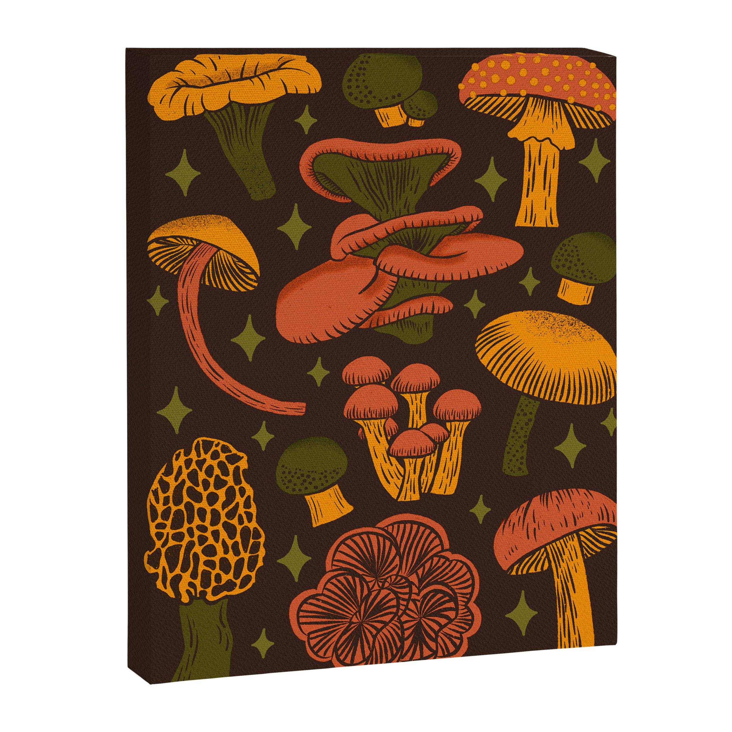 Texas Mushrooms âÂ Dark Multicolor Canvas Print Gallery Image 6