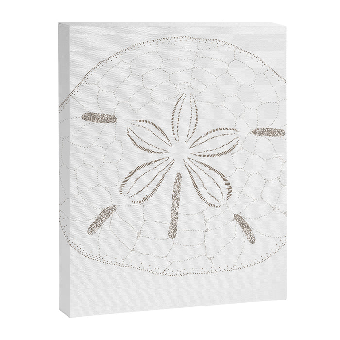 Sand Dollar Dreams - Brown on White Canvas Print Gallery Image 1