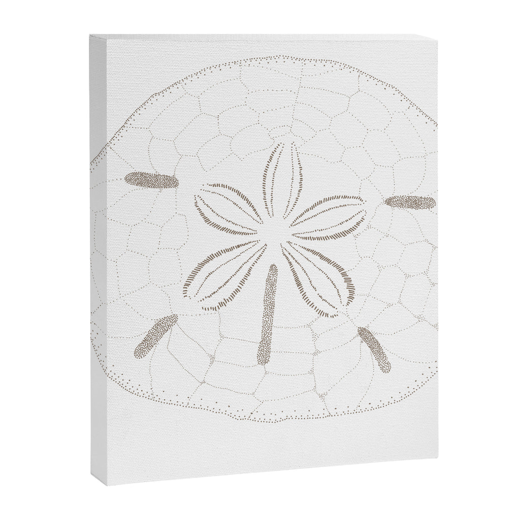 Sand Dollar Dreams - Brown on White Canvas Print Gallery Image 8