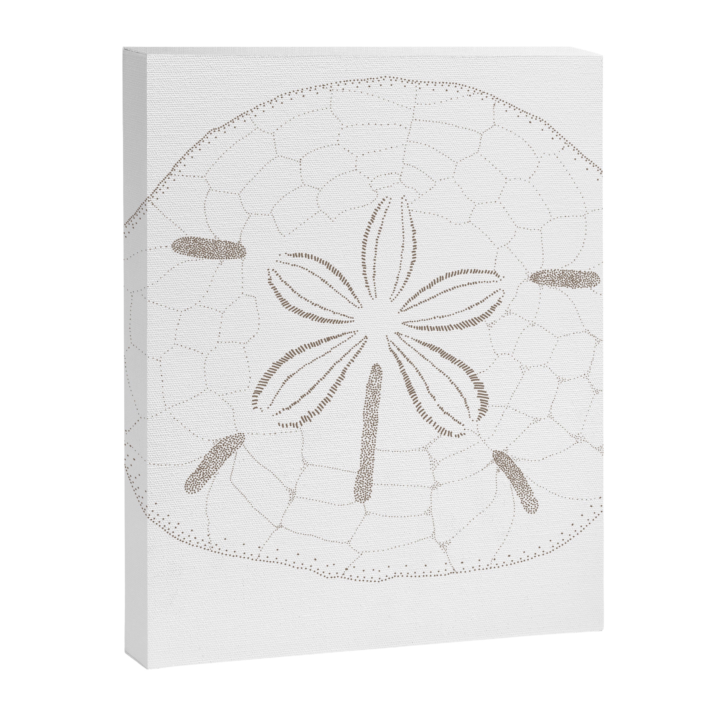 Sand Dollar Dreams - Brown on White Canvas Print Gallery Image 8