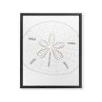 Sand Dollar Dreams - Brown on White Framed Canvas Print Gallery Image 8