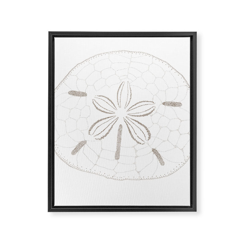 Sand Dollar Dreams - Brown on White Framed Canvas Print Gallery Image 8