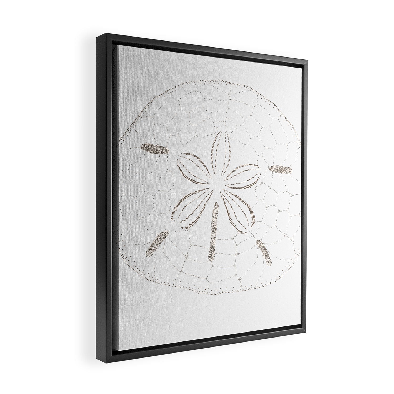 Sand Dollar Dreams - Brown on White Framed Canvas Print Gallery Image 2