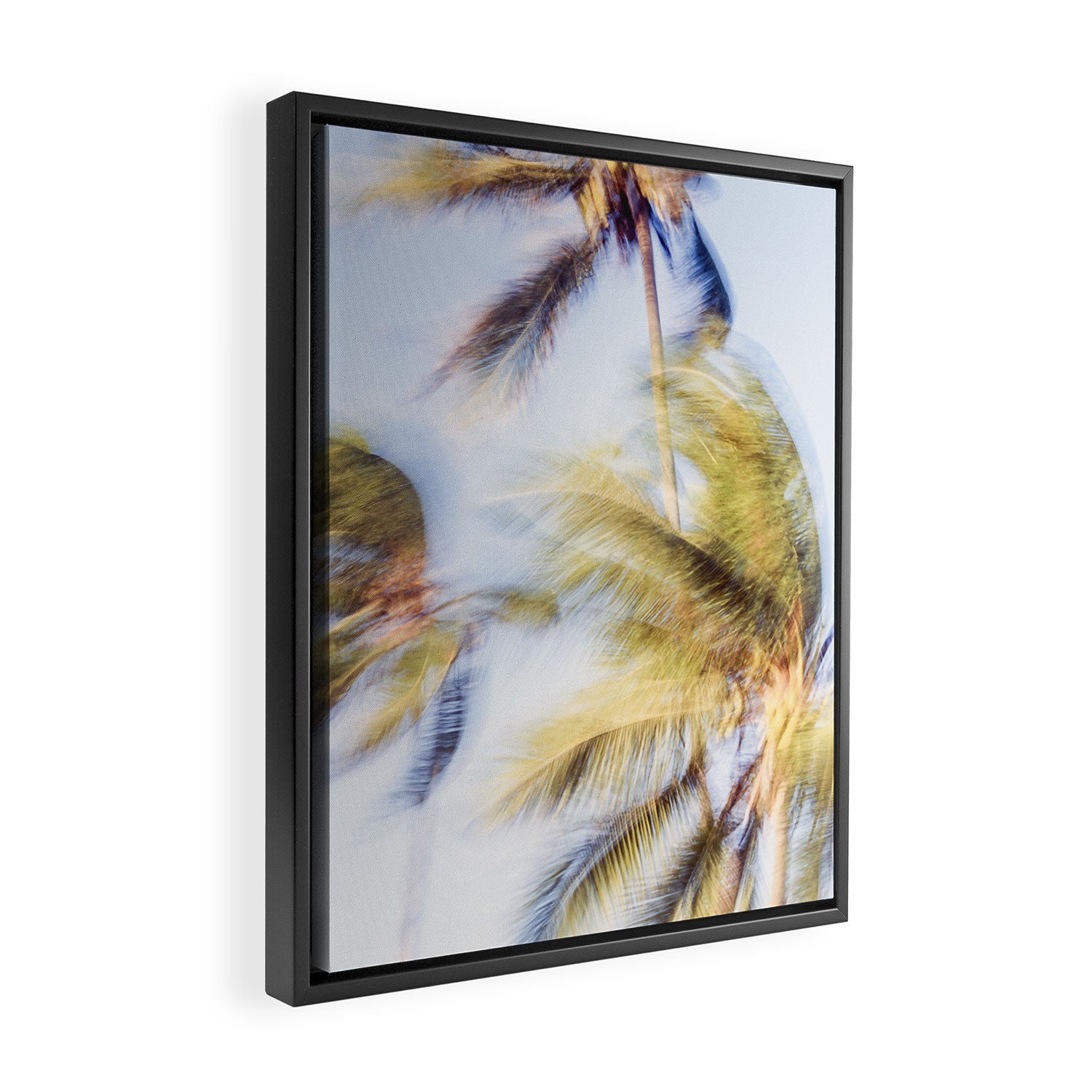 Tropicalia Framed Canvas Print Gallery Image 2