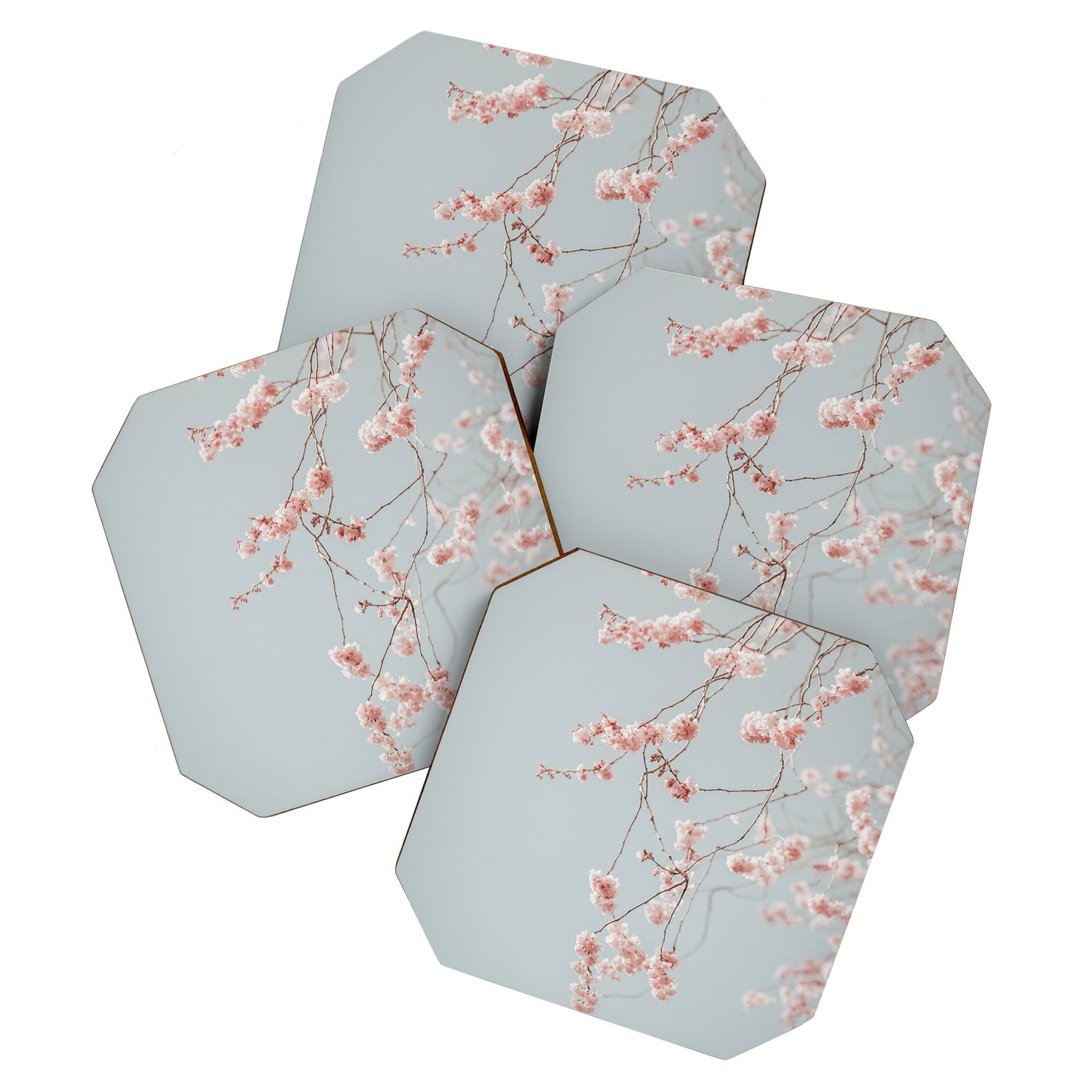 Cherry Blossom Coaster Gallery Image 1
