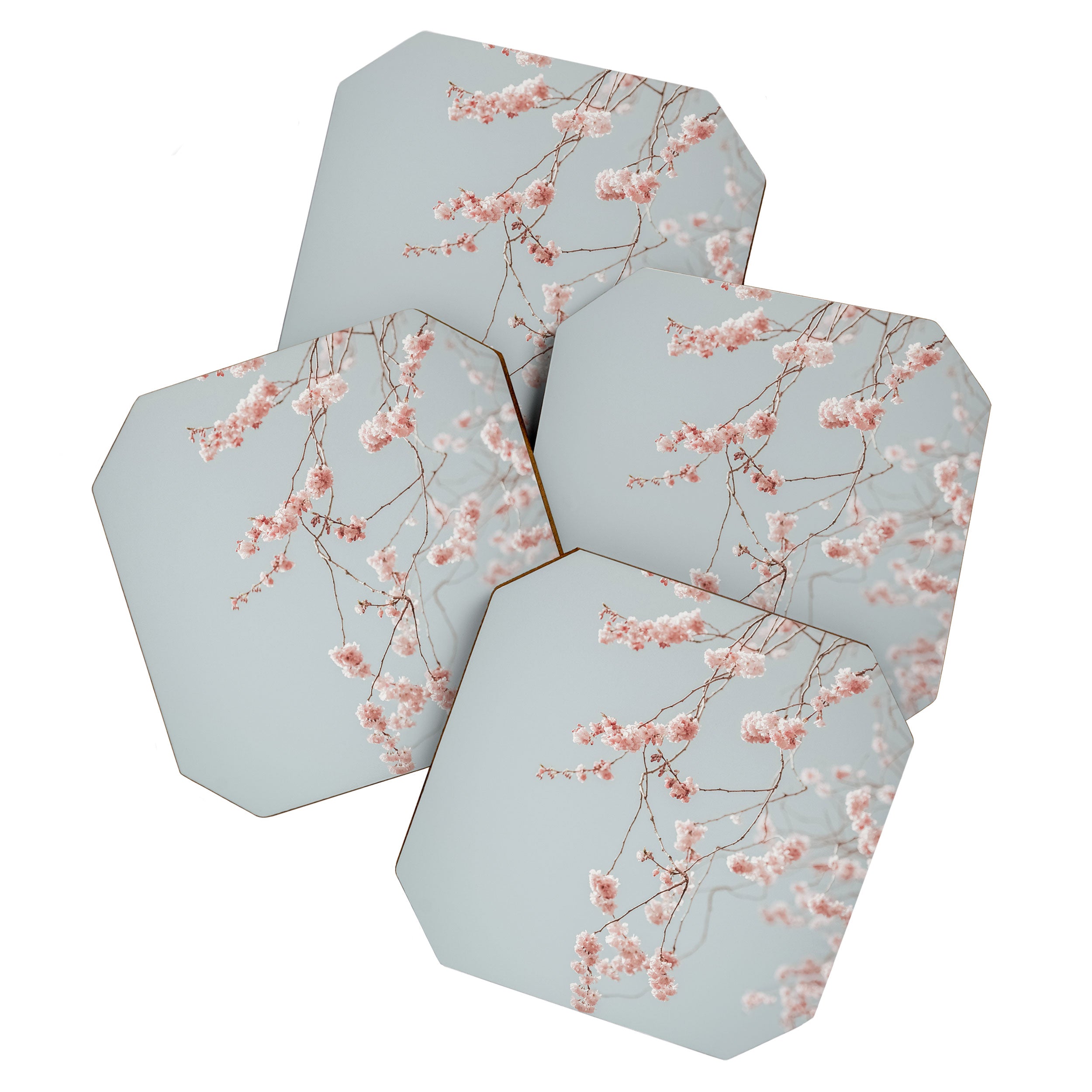 Cherry Blossom Coaster Gallery Image 1