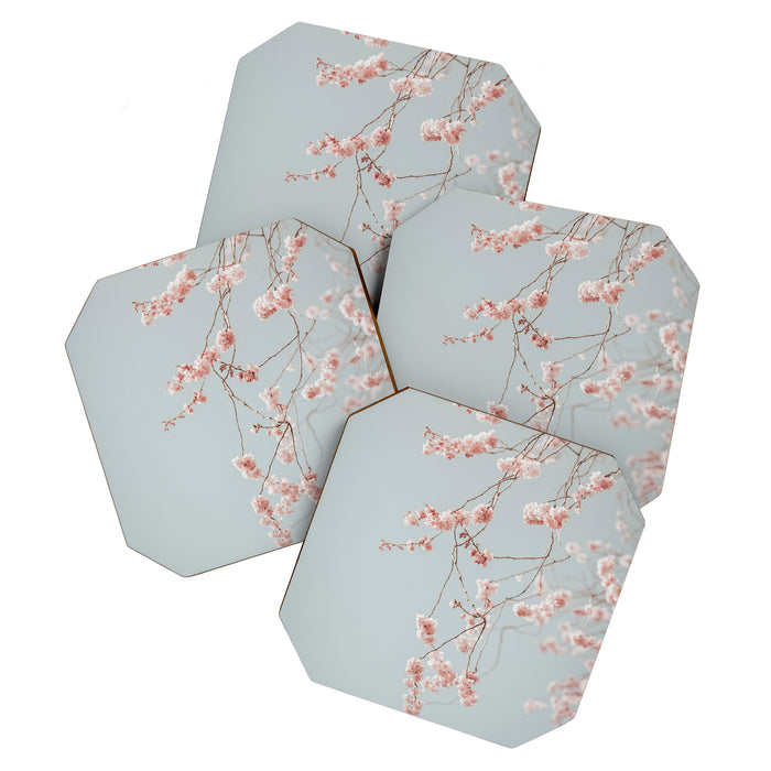 Cherry Blossom Coaster Gallery Image 1