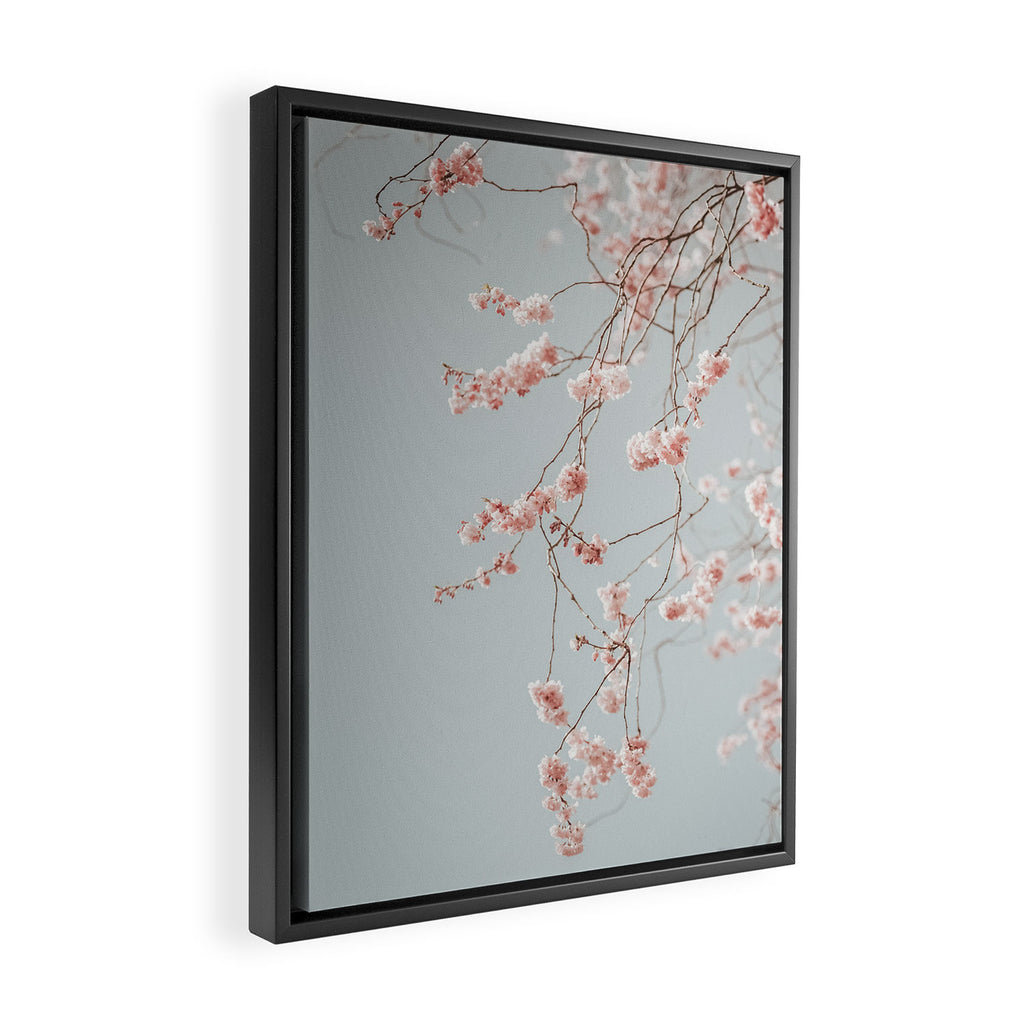 Cherry Blossom Framed Canvas Print Gallery Image 2