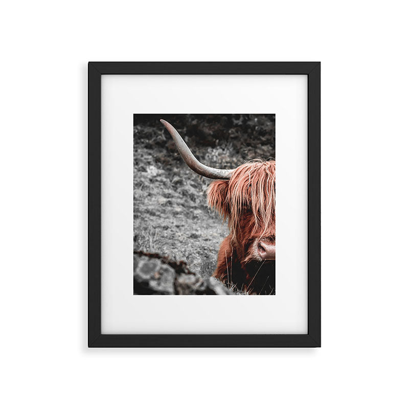 Highland Cow Framed Art Print Gallery Image 5