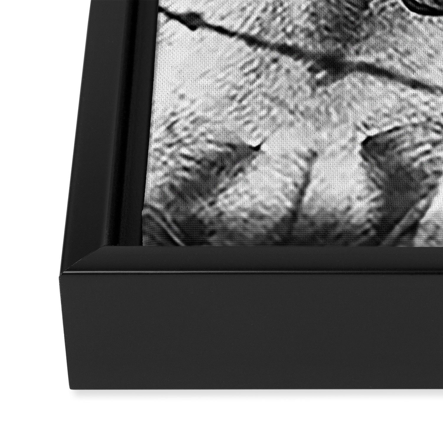 Horses Black and White Framed Canvas Print Gallery Image 3