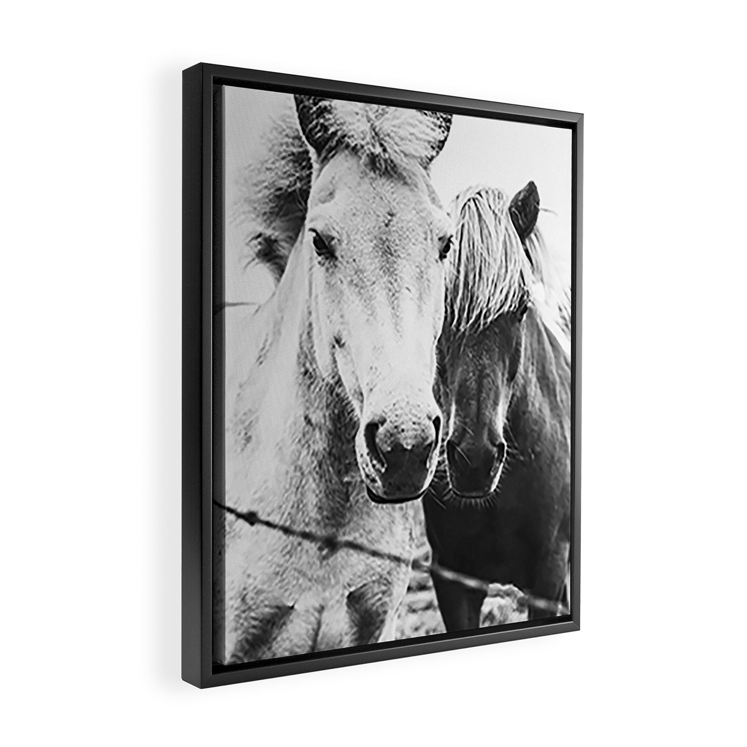 Horses Black and White Framed Canvas Print Gallery Image 2