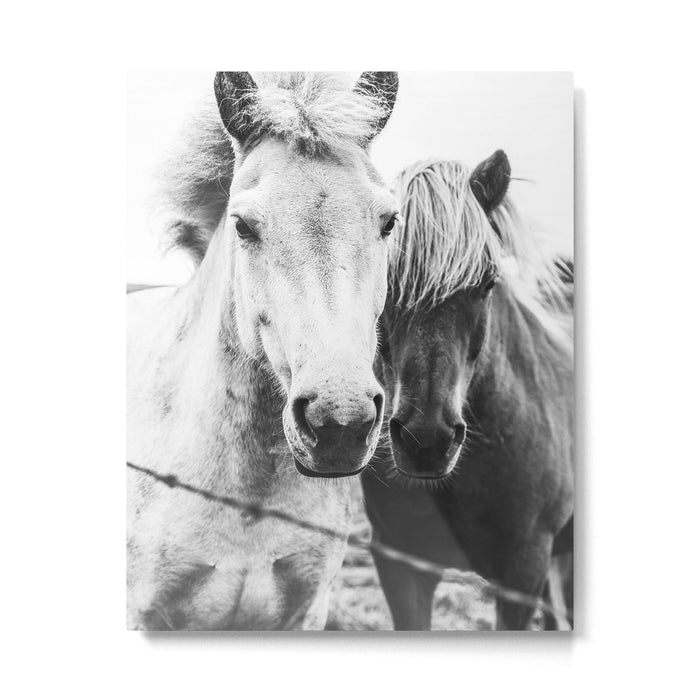 Horses Black and White Metal Print Gallery Image 1