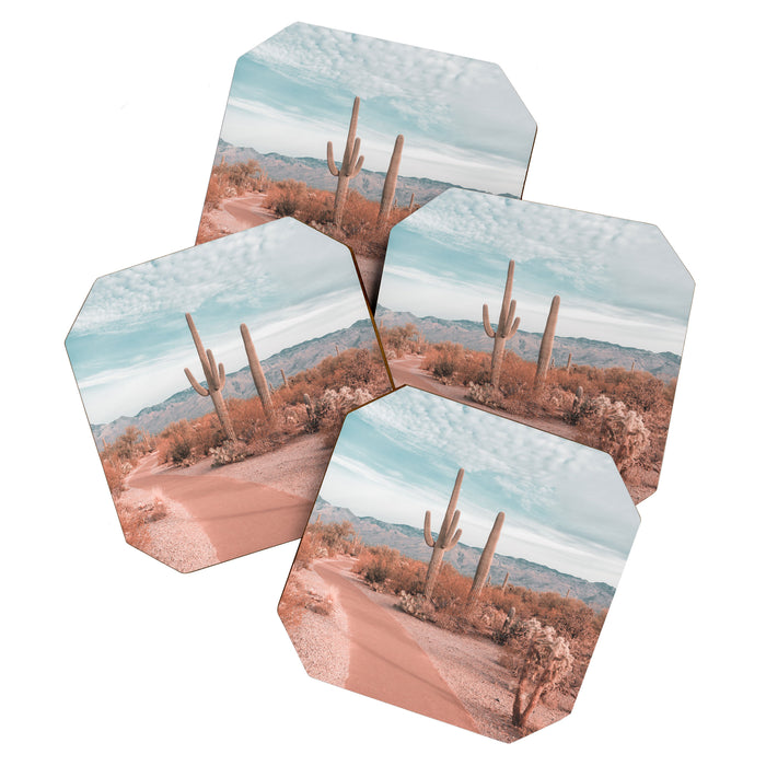 Saguaro National Park Arizona Coaster Gallery Image 1