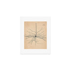 Santiago Ramon y Cajal Pyramida Neuron Drawing 1904 Art Print Gallery Image 1