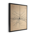 Santiago Ramon y Cajal Pyramida Neuron Drawing 1904 Framed Canvas Print Gallery Image 2