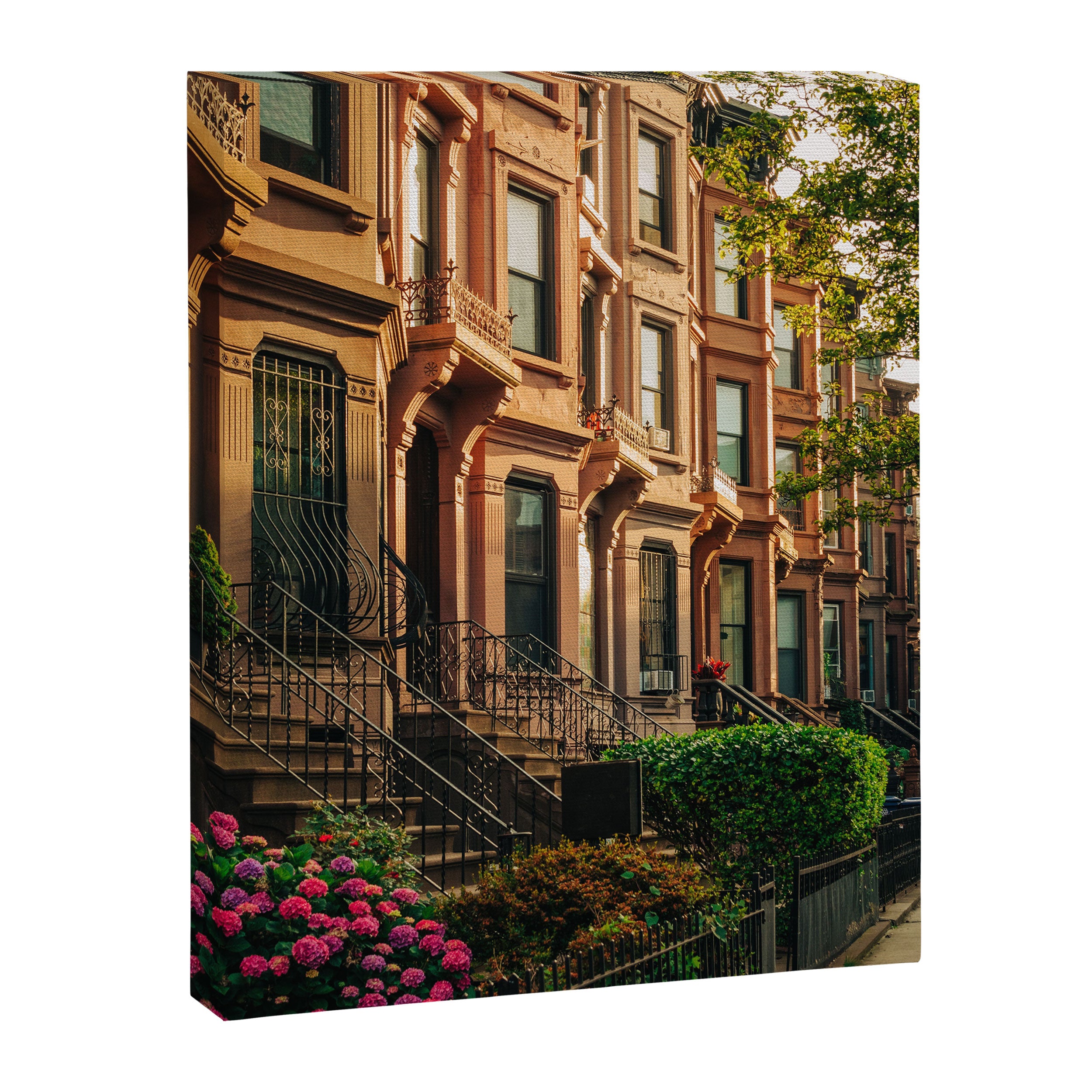 Bed-Stuy Brownstones 01 Canvas Print Gallery Image 6