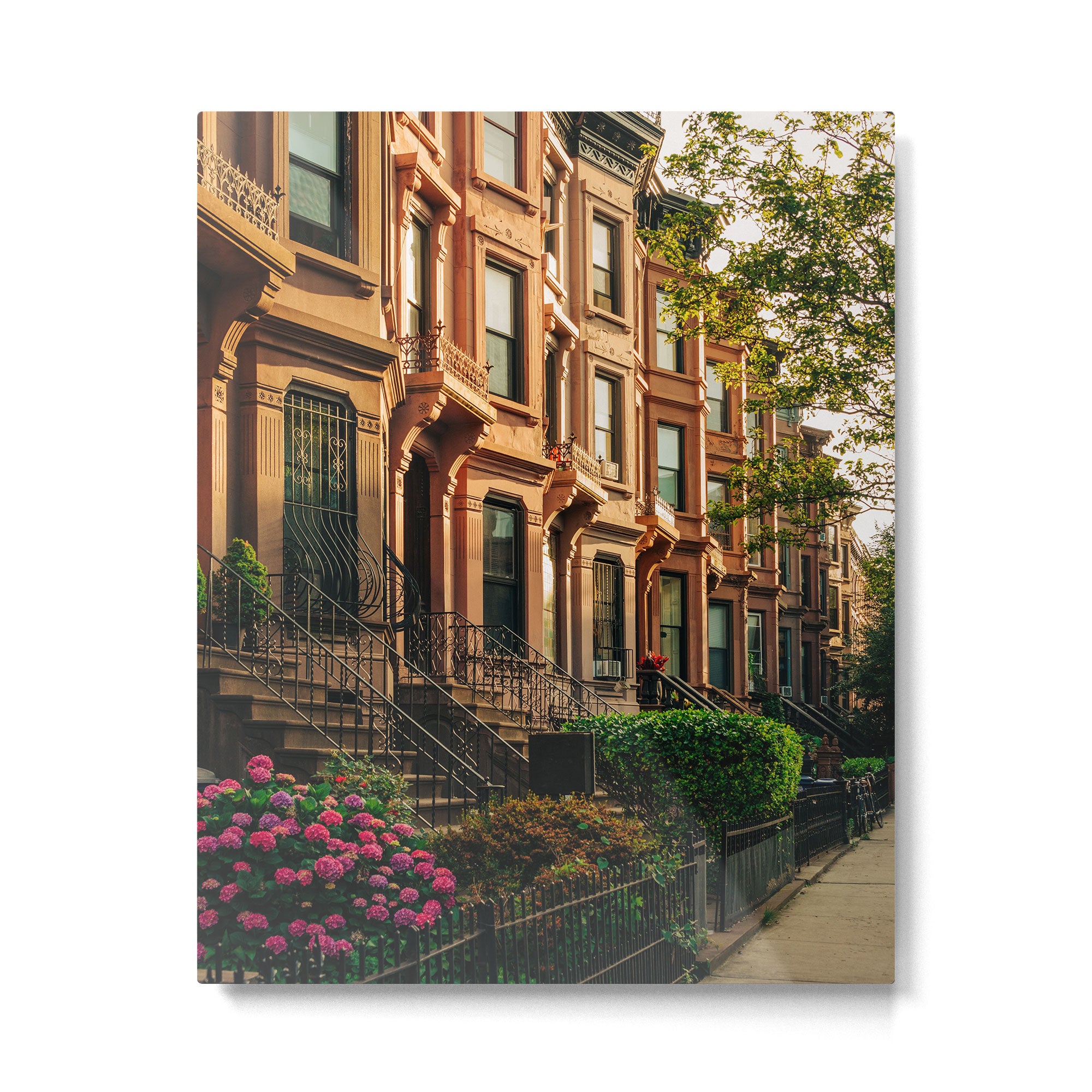 Bed-Stuy Brownstones 01 Metal Print Gallery Image 4