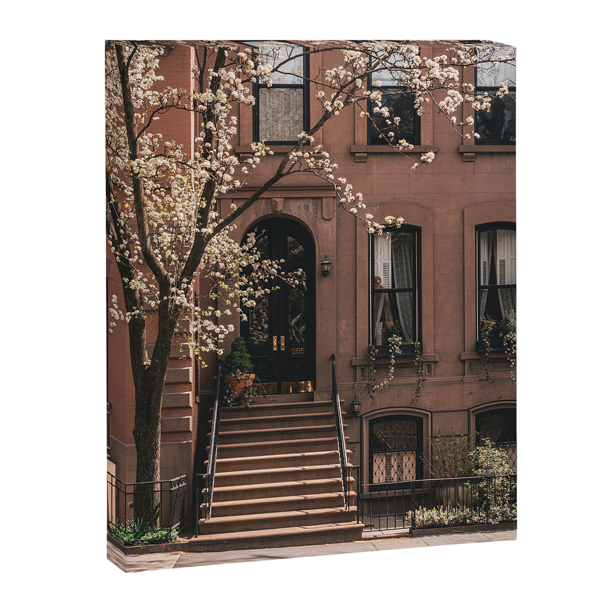 Brooklyn Heights Brownstones 03 Canvas Print Gallery Image 6