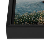 La Jolla Cove 02 Framed Canvas Print Gallery Image 3