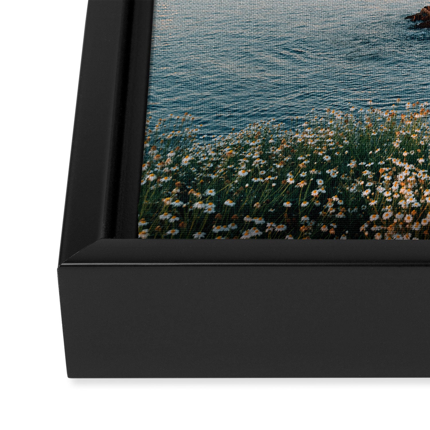 La Jolla Cove 02 Framed Canvas Print Gallery Image 3