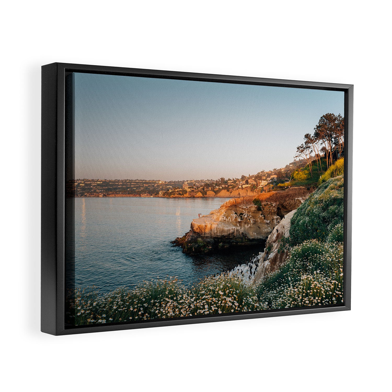 La Jolla Cove 02 Framed Canvas Print Gallery Image 2