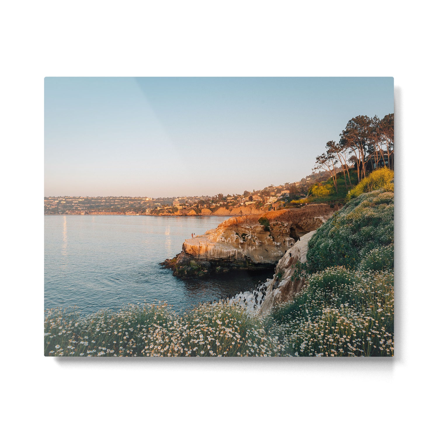 La Jolla Cove 02 Metal Print Gallery Image 4