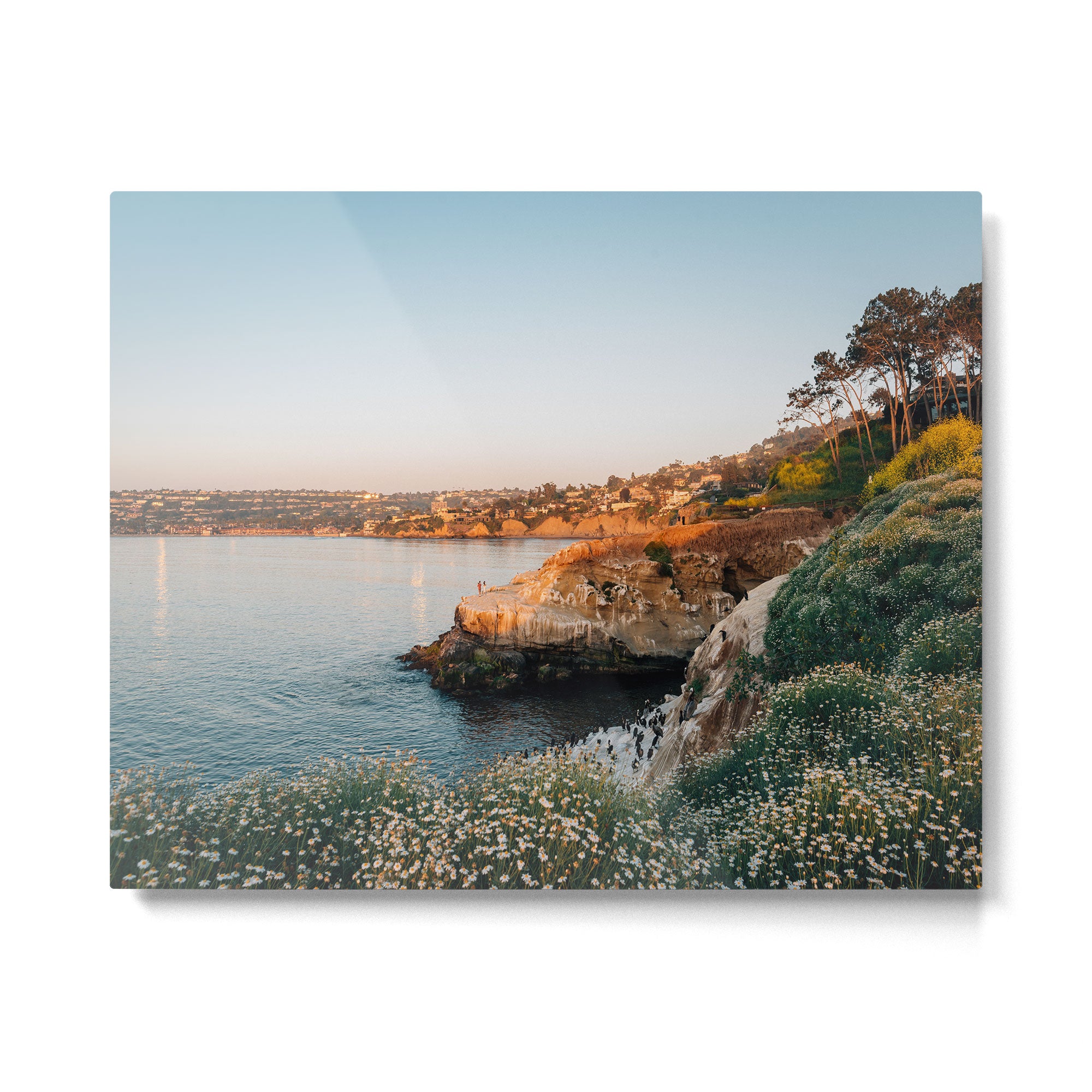 La Jolla Cove 02 Metal Print Gallery Image 4