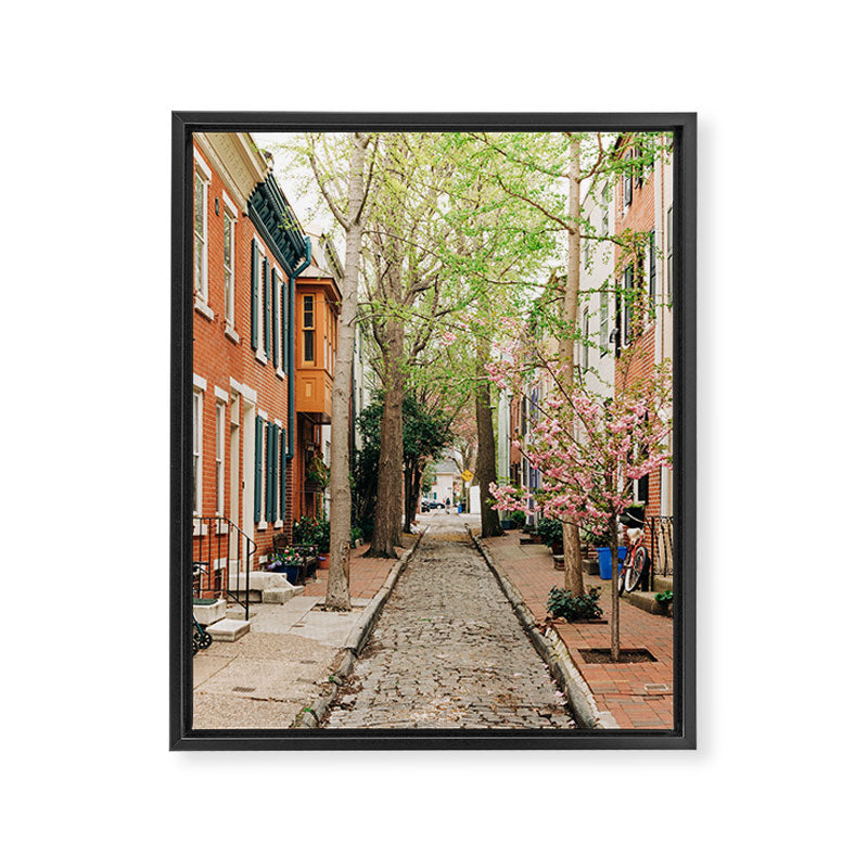 Panama Street, Philadelphia 03 Framed Canvas Print Gallery Image 6