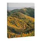 Superbloom Poppies 02 Canvas Print Gallery Image 6