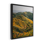 Superbloom Poppies 02 Framed Canvas Print Gallery Image 2