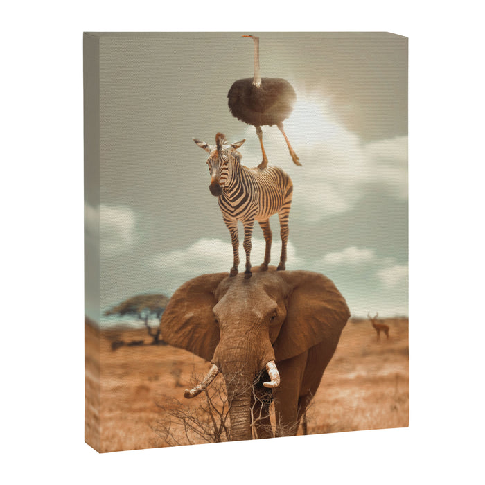 African Friends Canvas Print Gallery Image 1