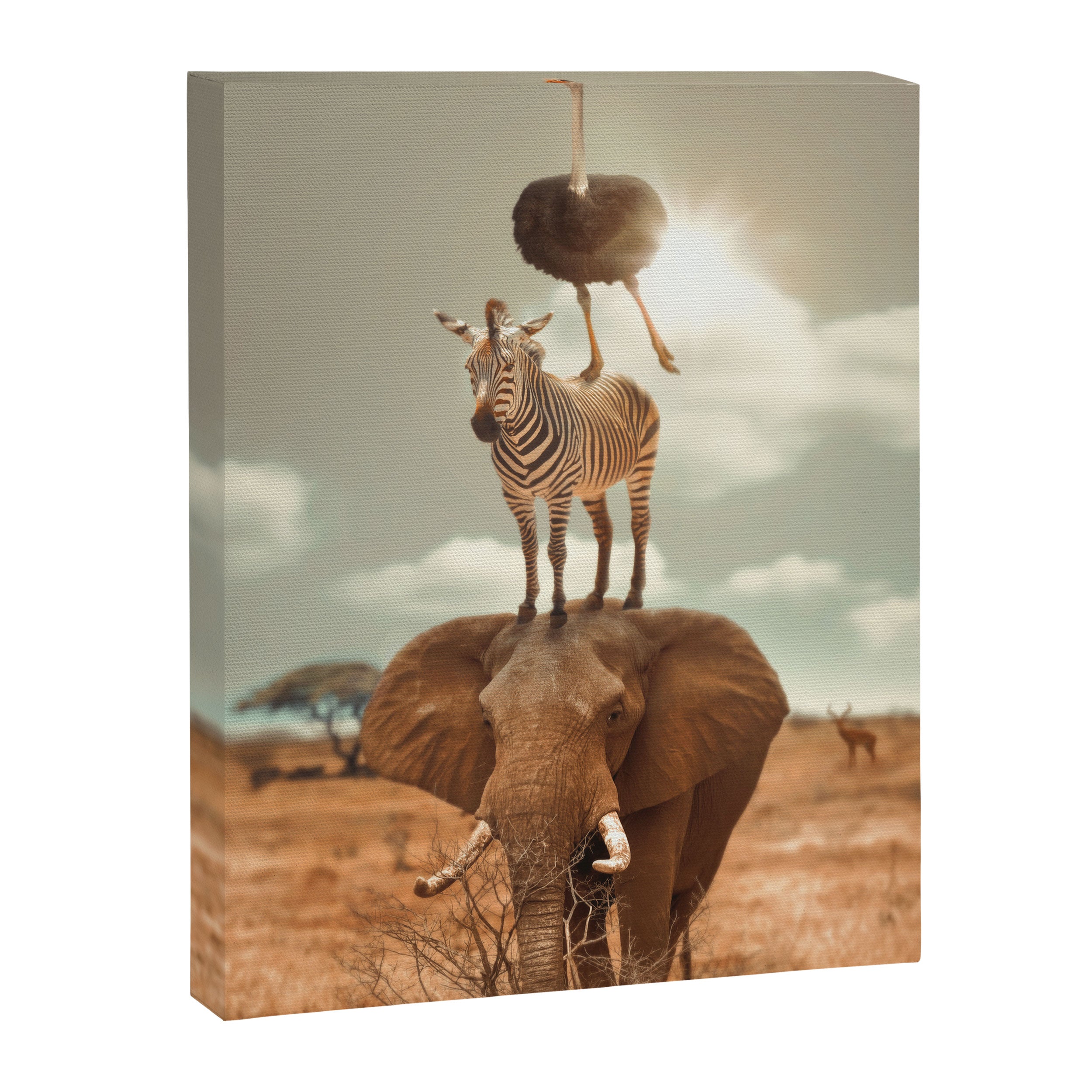 African Friends Canvas Print Gallery Image 6