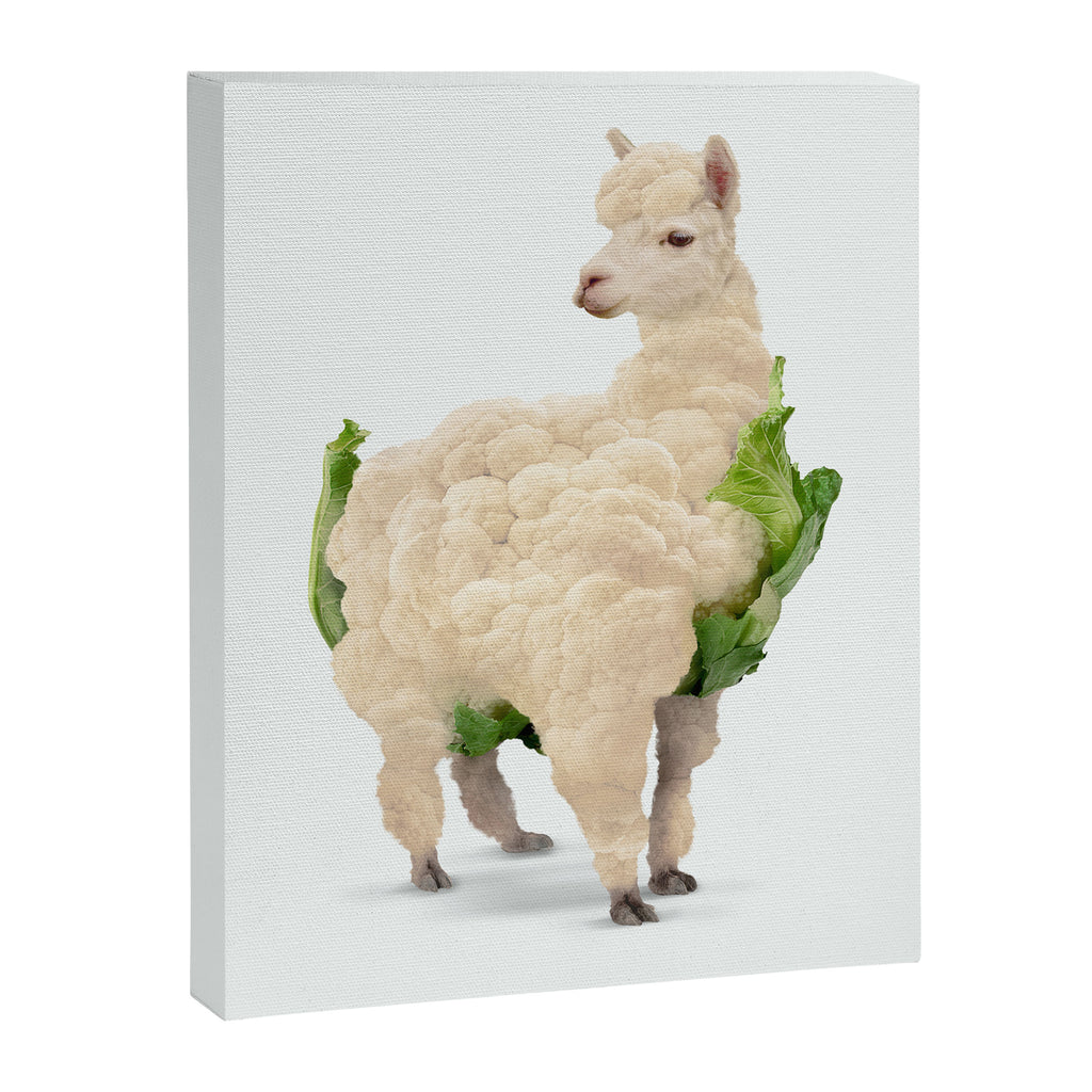 Alpacauli Canvas Print Gallery Image 6