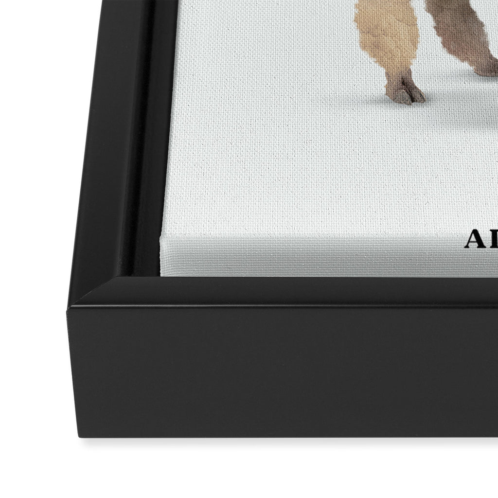 Alpacauli Framed Canvas Print Gallery Image 3