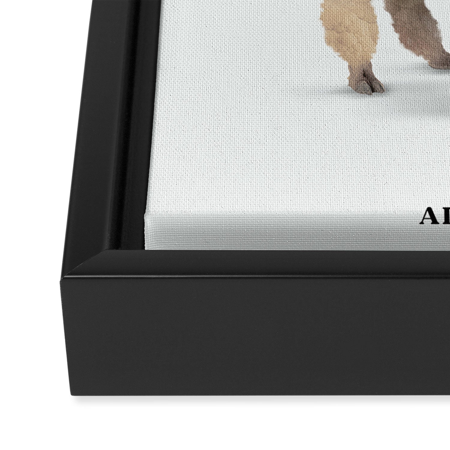 Alpacauli Framed Canvas Print Gallery Image 3