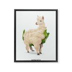 Alpacauli Framed Canvas Print Gallery Image 6