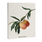 Beach Peach Canvas Print Gallery Image 6